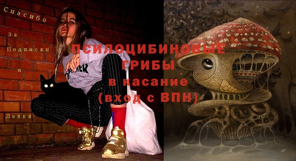 стаф Абаза