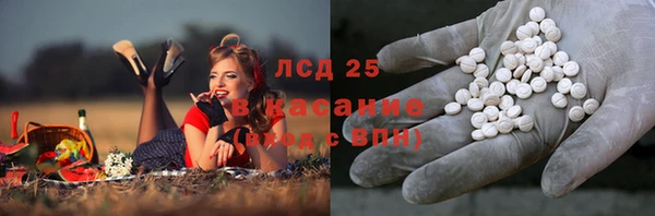 ПСИЛОЦИБИНОВЫЕ ГРИБЫ Абинск