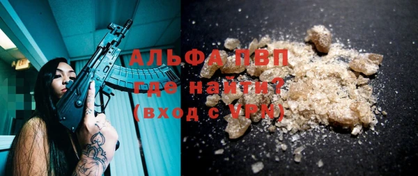 стаф Абаза